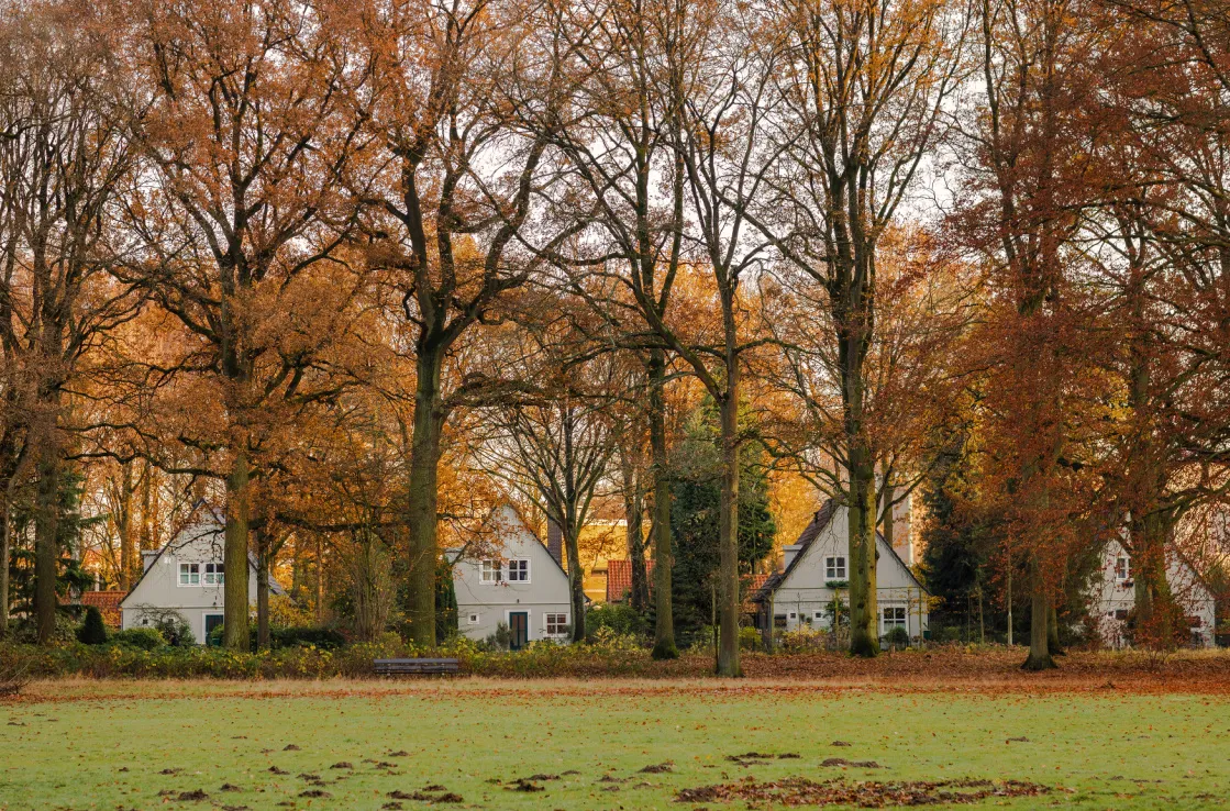 things to do in eindhoven
